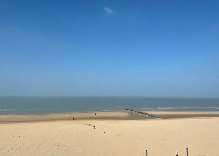 公寓 Poire Et Table 1 奥斯滕德